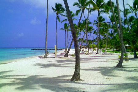 Oferta de viaje a Punta Cana