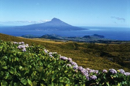 Parque Faial de Azores, destino de Excelencia